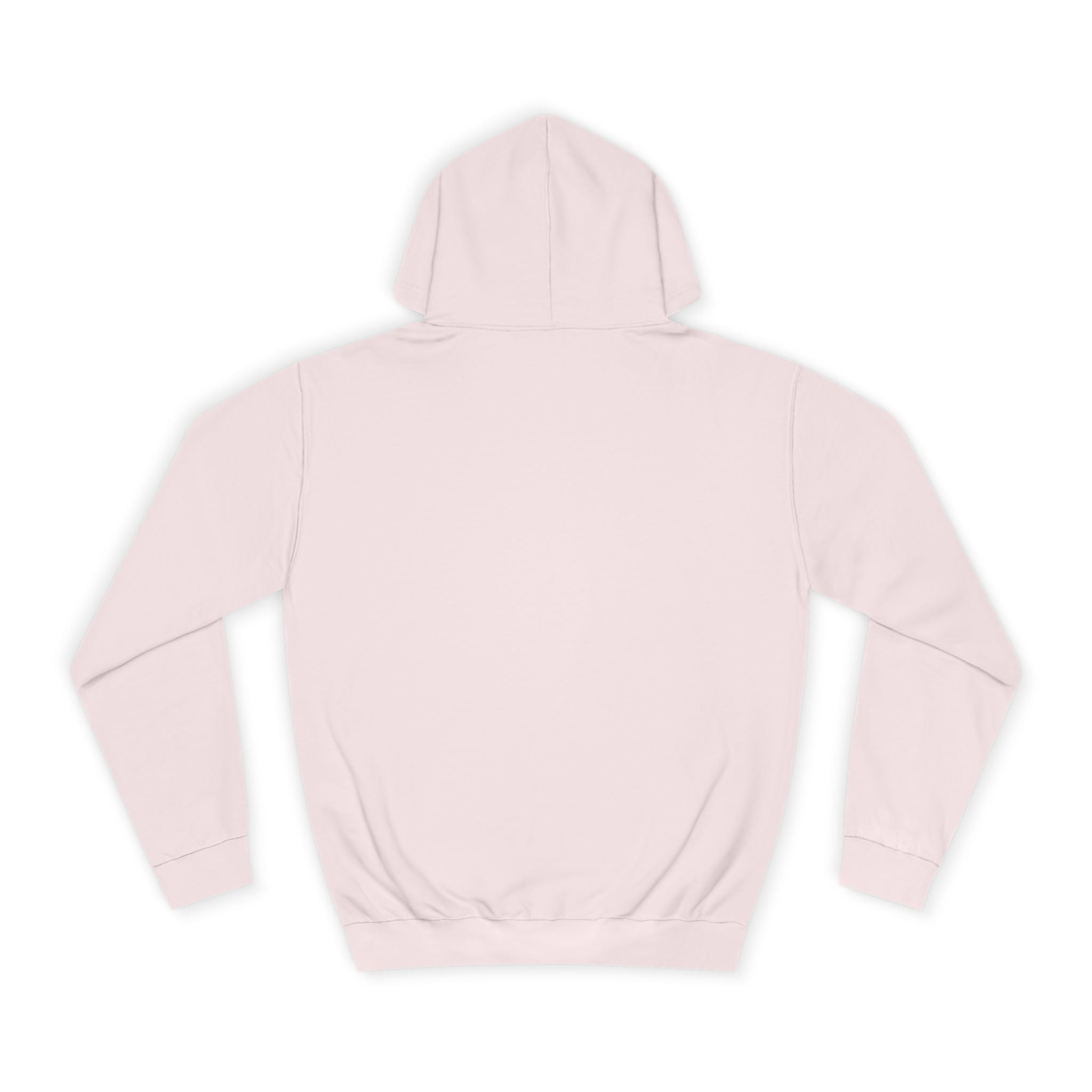 Panic and Pedagogy College Hoodie