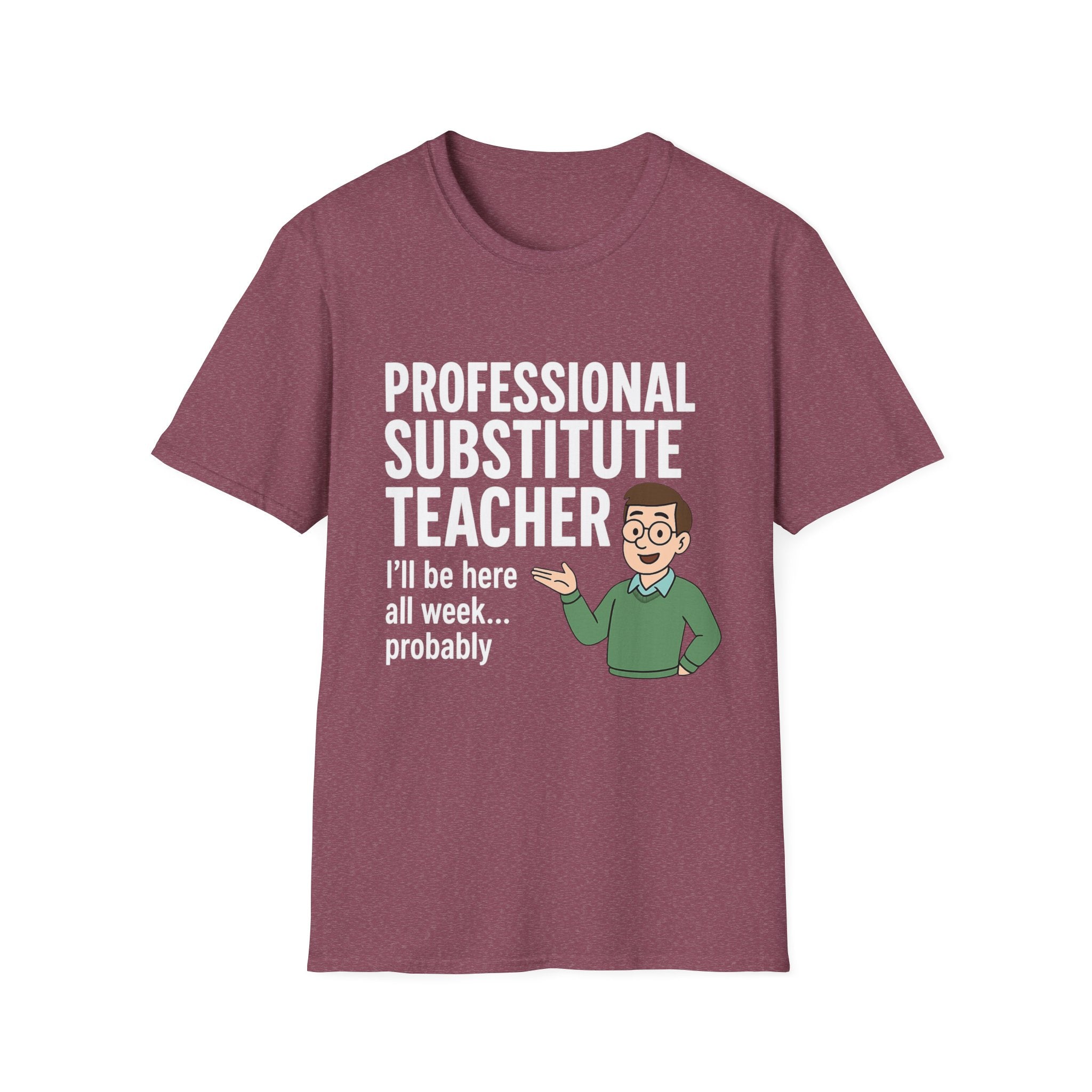 Professional Substitute Teacher!