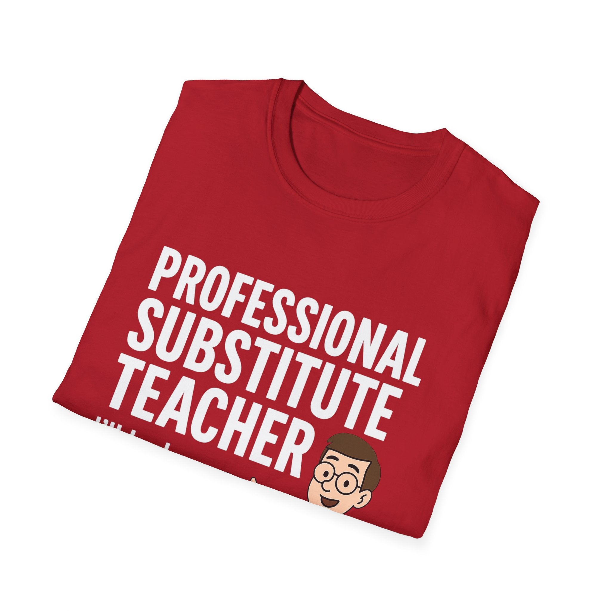 Professional Substitute Teacher!