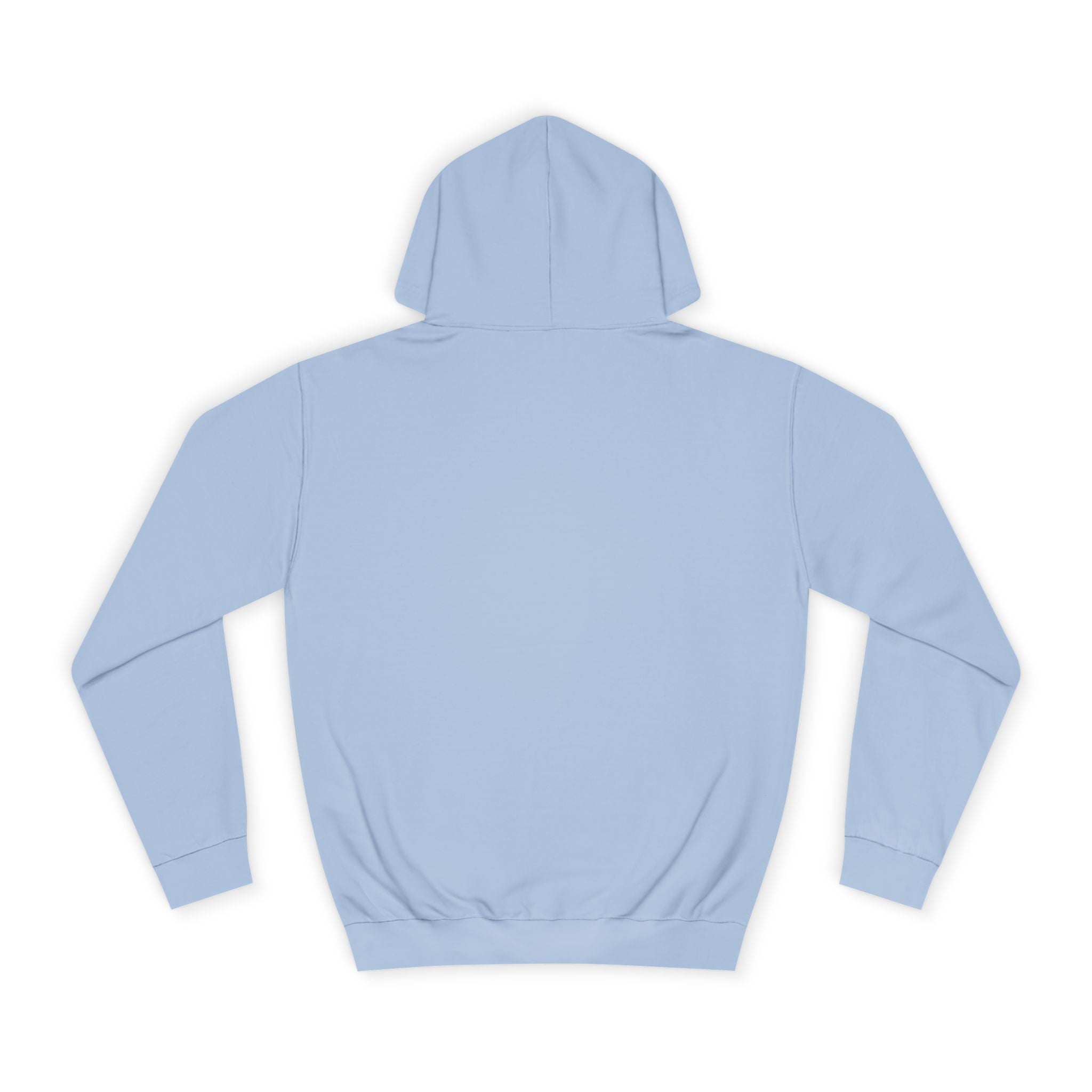 Panic and Pedagogy College Hoodie