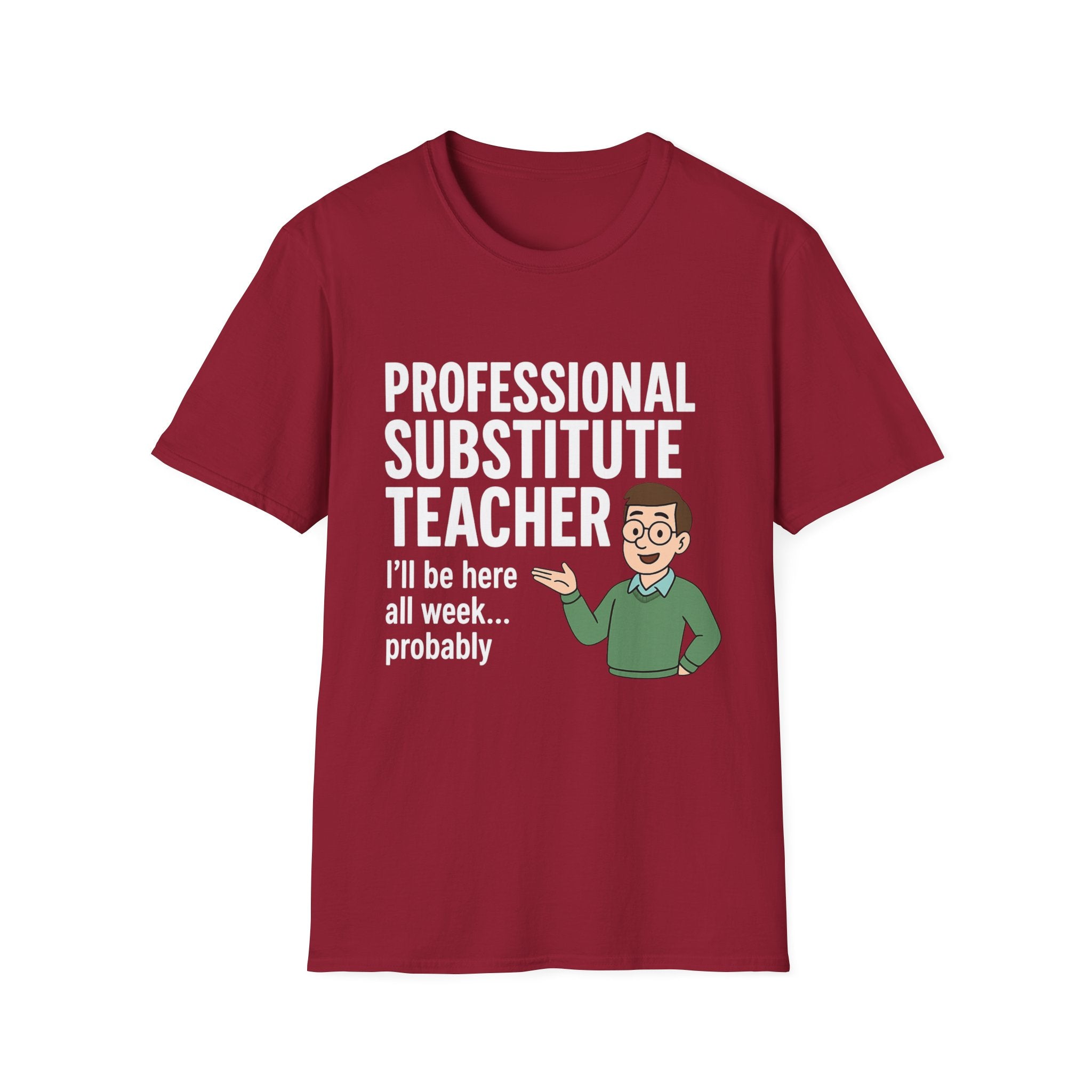 Professional Substitute Teacher!