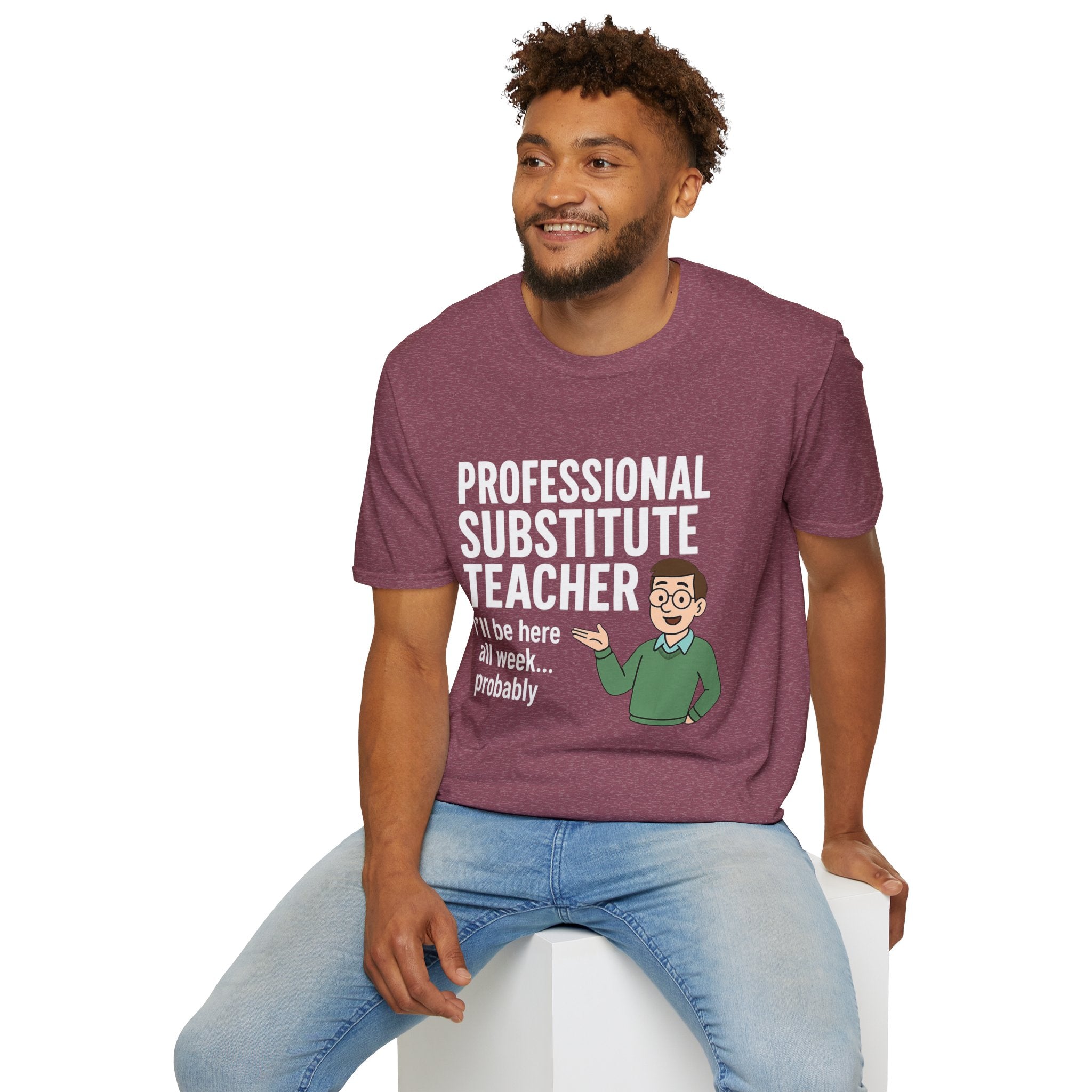Professional Substitute Teacher!
