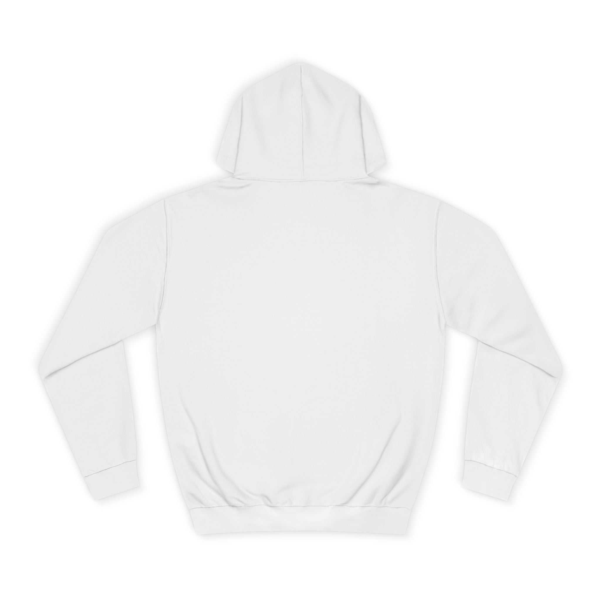 Panic and Pedagogy College Hoodie