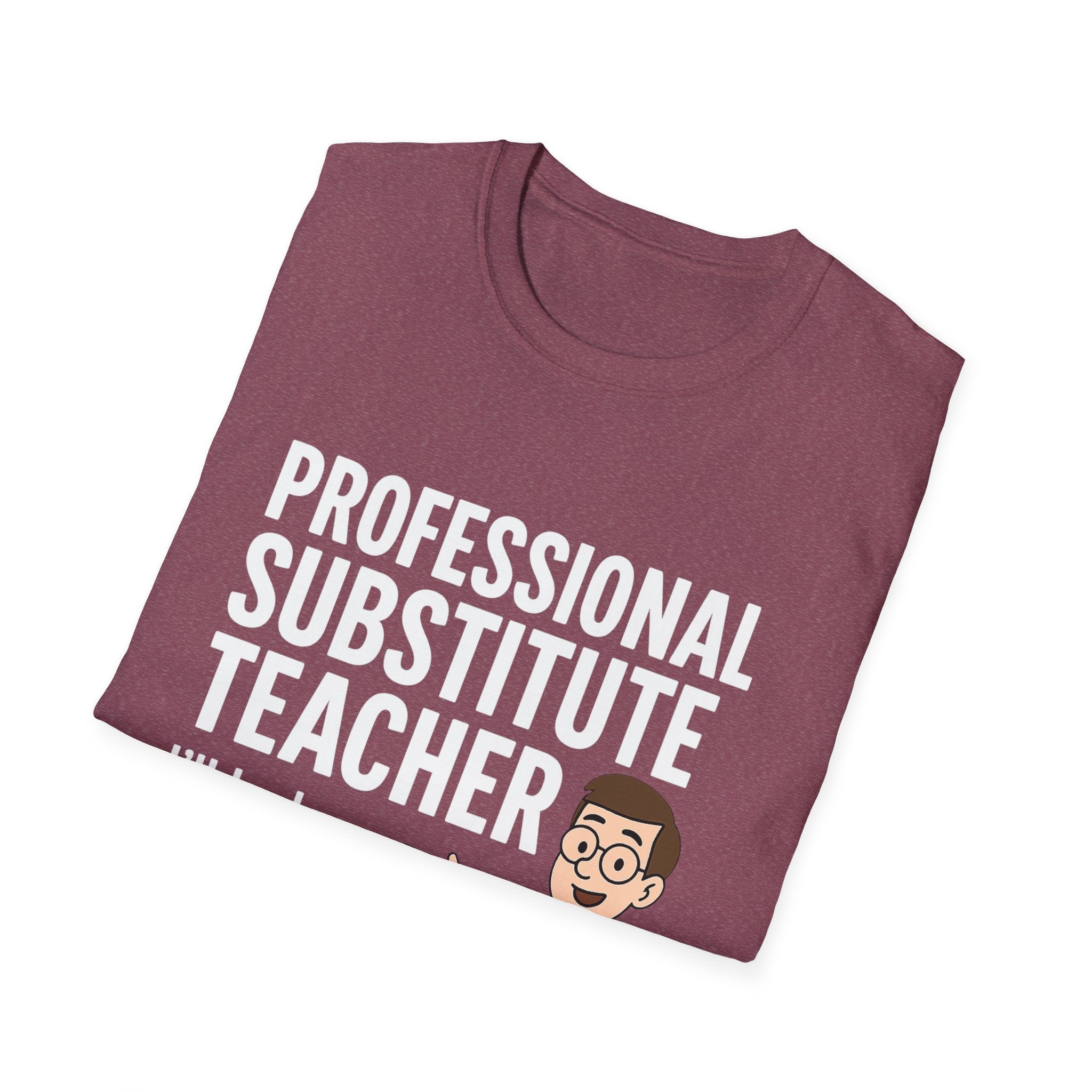 Professional Substitute Teacher!